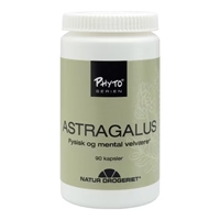 Astragalus 90 kapsler 